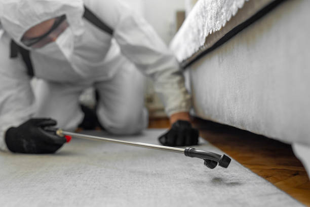 Professional Termite Control technician working in Springfield, MA