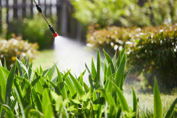24/7 Emergency Termite Control experts in Springfield, MA