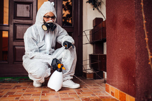 Reliable Termite Control contractor in Springfield, MA by Nex Pest Control